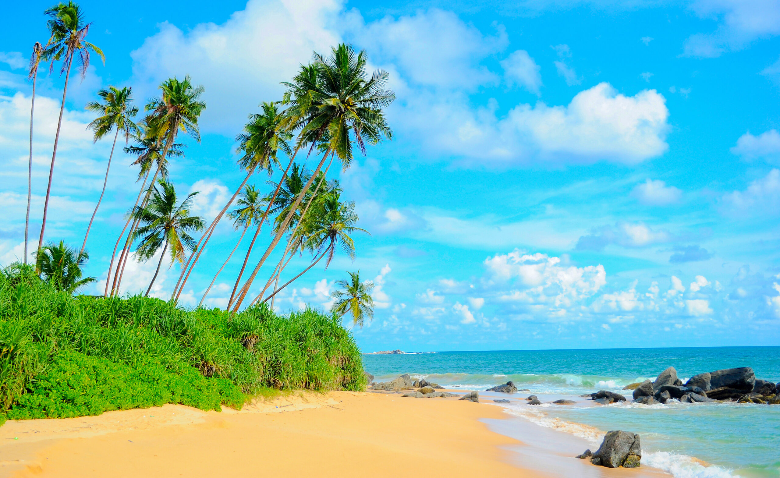 Tourismus auf Sri Lanka: Immer mehr deutsche Urlauber