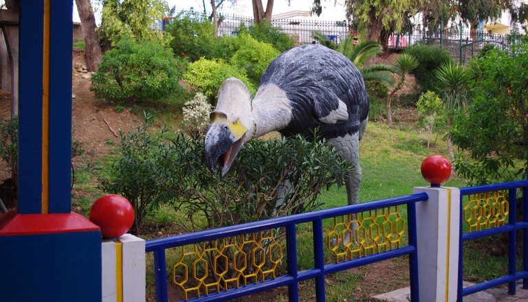 Agadir - Vallée des Oiseaux