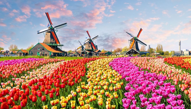 Amsterdam-Windmühlen-Zaanse-Schans