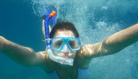 Gümbet - Snorkeling