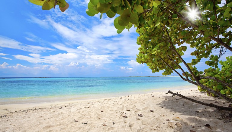 Aruba-Baby-Beach