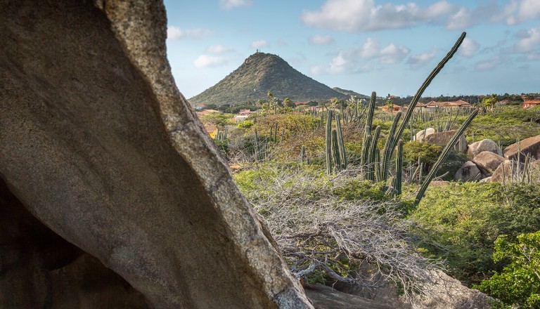  Aruba-Hooiberg