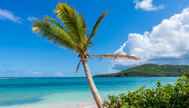 Bahamas-Seven-Mile-Beach