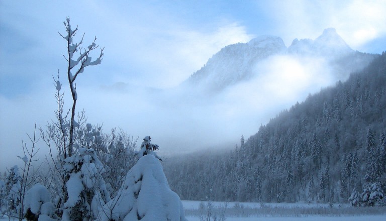 Schneelandschaft in Bayern