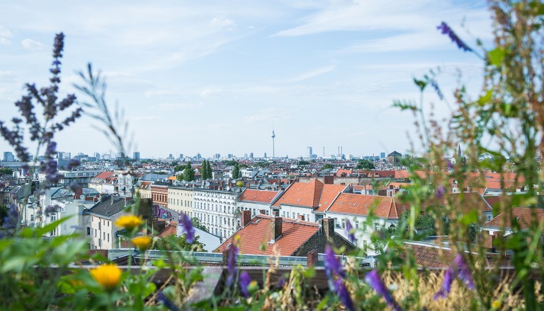 Blick über Berlin-Neukölln in Richtung Mitte mit Fernsehturm.