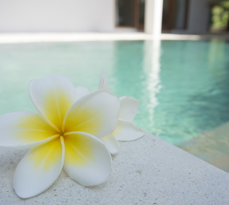 Frangipani Pool