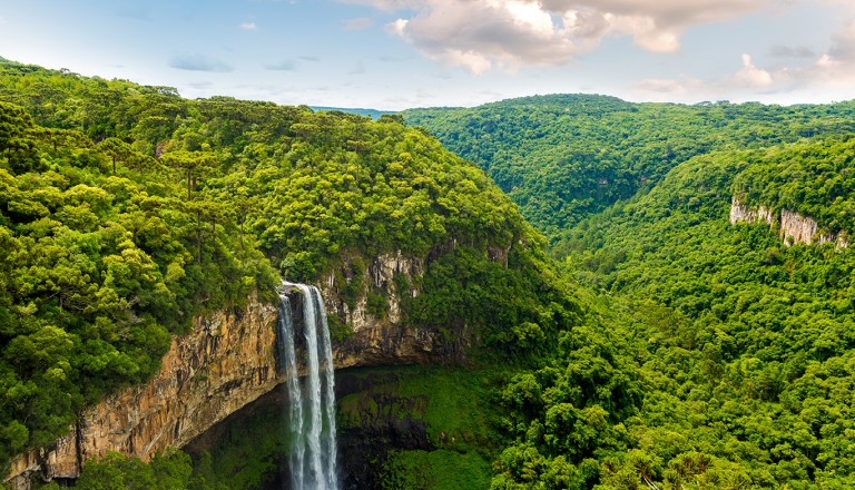  Brasilien-Amazonas