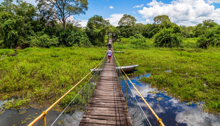  Brasilien-Pantanal.