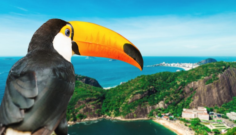  Brasilien-Zoologischer-Garten-Rio-de-Janeiro