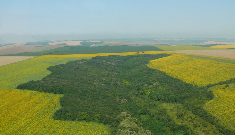 Bulgarien - Donautiefebene