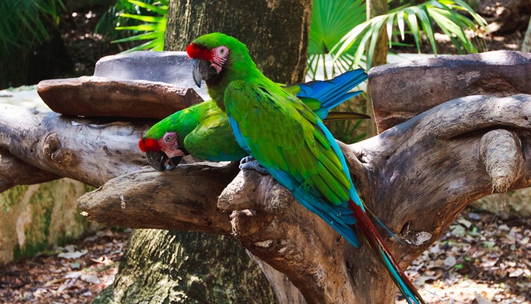  Cancun-Naturpark-Tres-Ríos.