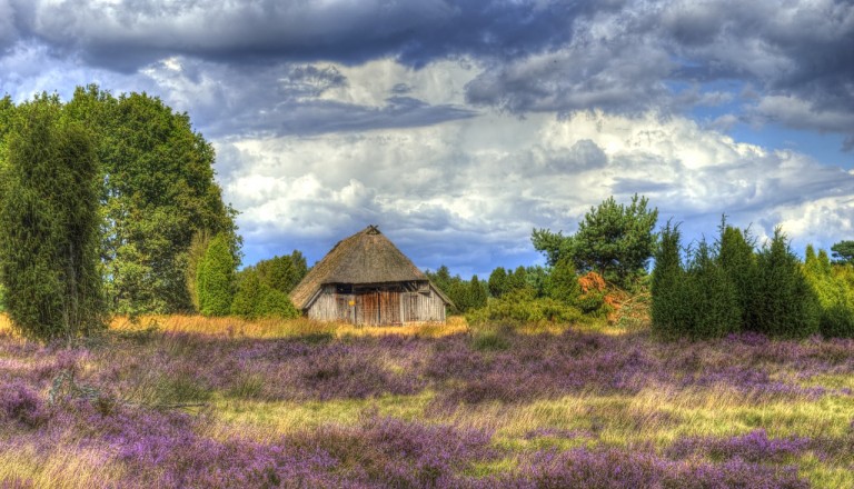 Deutschland - Lüneburg Heath