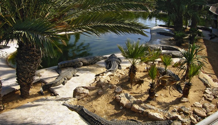  Djerba-Explore-Park.