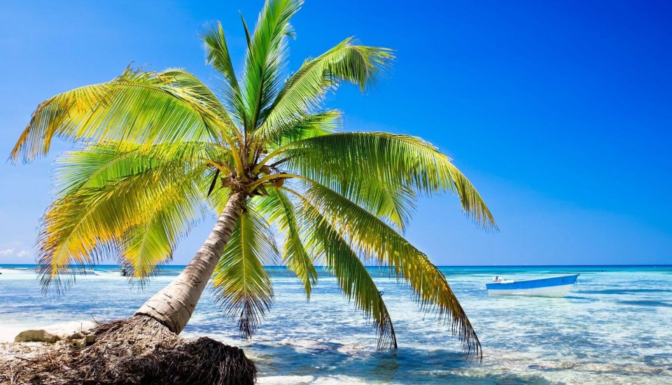 Playa Dominicus (Bayahibe) - Dominikanische Republik — Familien-Urlaub unter Palmen — z.B. 9 Tage AI & Flug schon ab 1197€ buchen