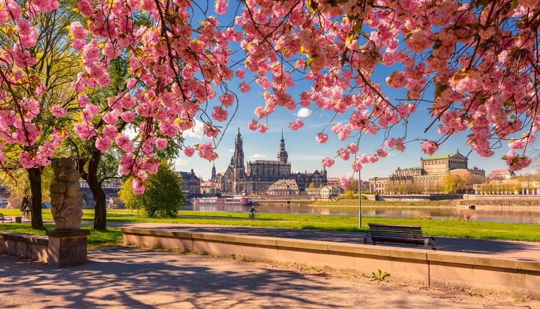 Dresden-Fruehling