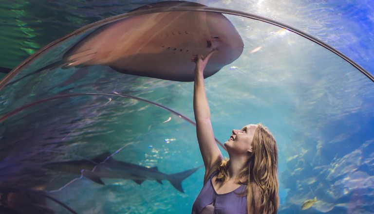 Dubai - Aquarium und Underwater Zoo