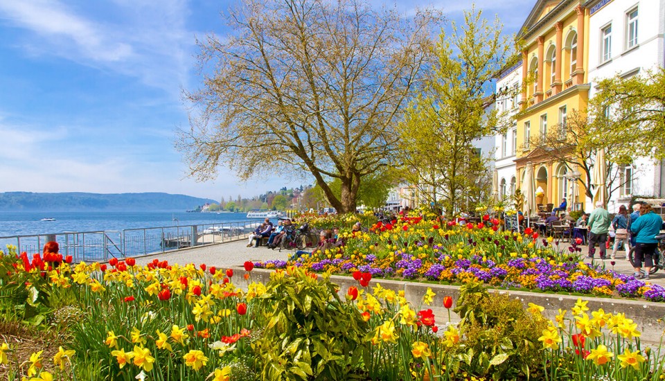 Ferienwohnung - Bodensee