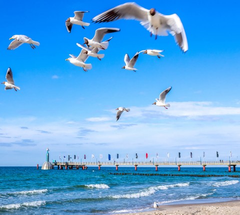 5 Tage im 4 Hotel  Ferien- und Freizeitpark Weissenhäuser Strand - Strandhotel