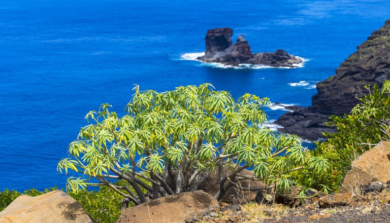 La Palma - Garafia 