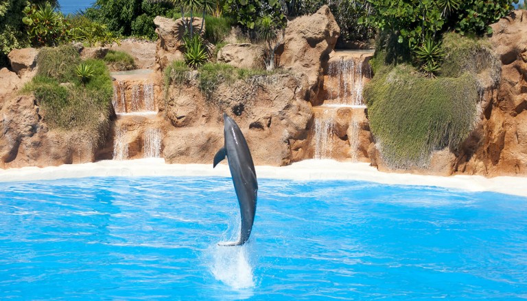 Gran Canaria - Palmitos Park