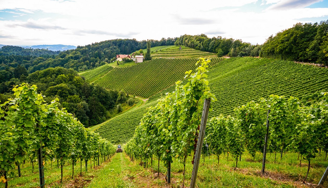 Städtereise Graz - günstig beim Testsieger buchen