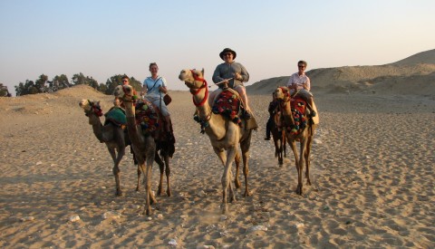 Hurghada - Kamel-Safari