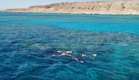 Hurghada - Tauchen