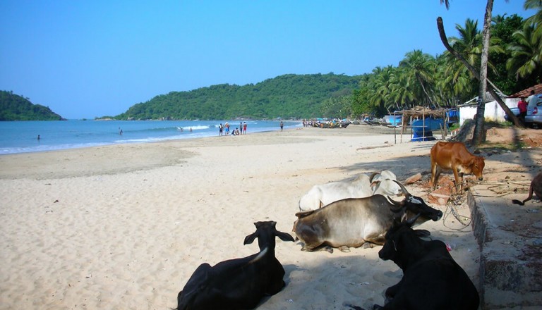 Indien - Bogmallo Beach