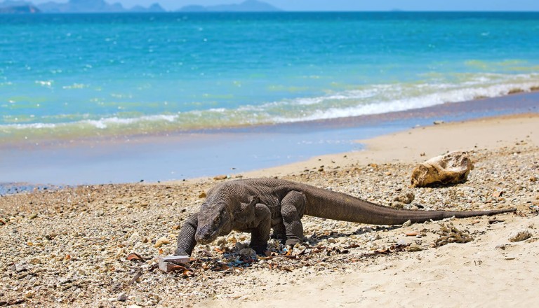 Indonesien - Komodo-Nationalpark