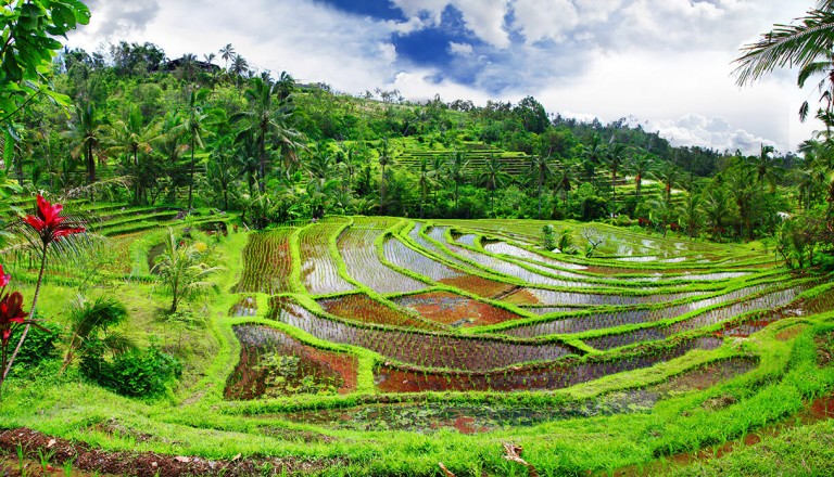 Indonesien - Pauschalreisen