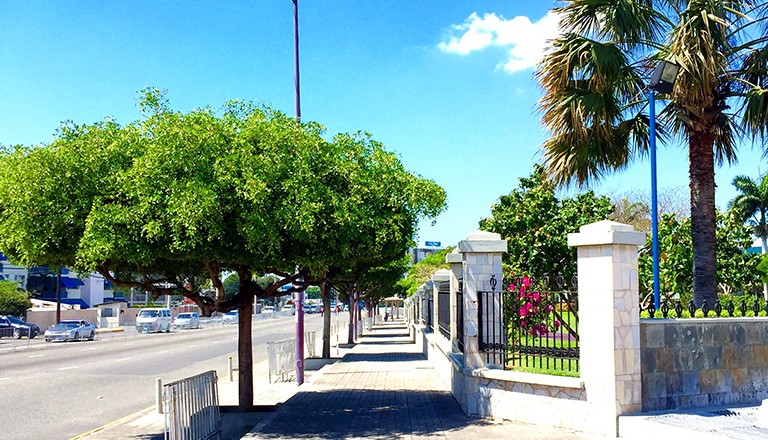  Jamaika-Emancipation-Park-in-Kingston.