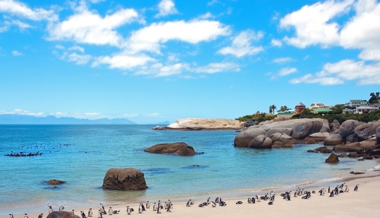 Kapstadt-Boulders-Beach