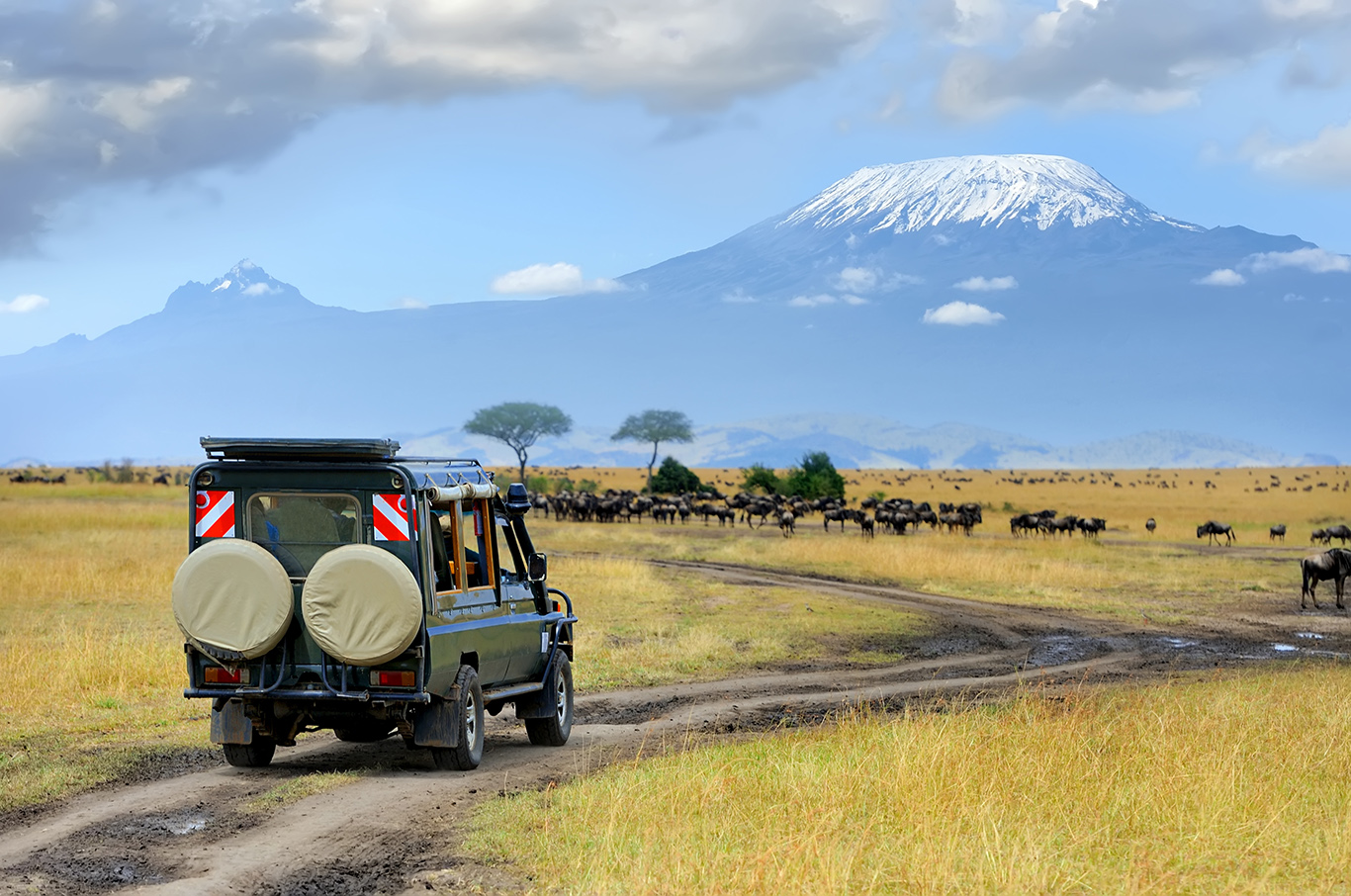 safari kenia pauschalreise