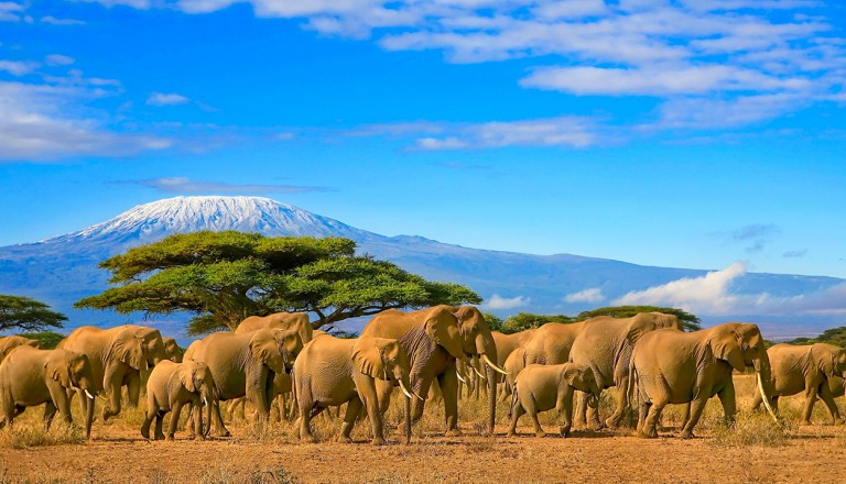  Kenya-Masai-Mara.