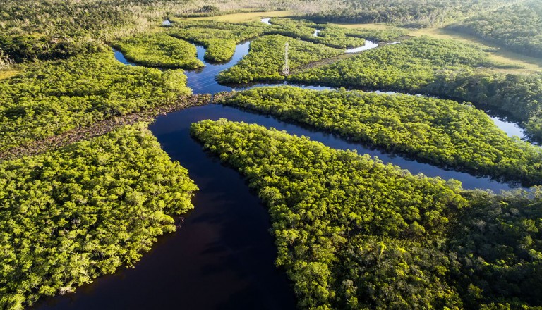 Kreuzfahrt - Amazonas - Manaus