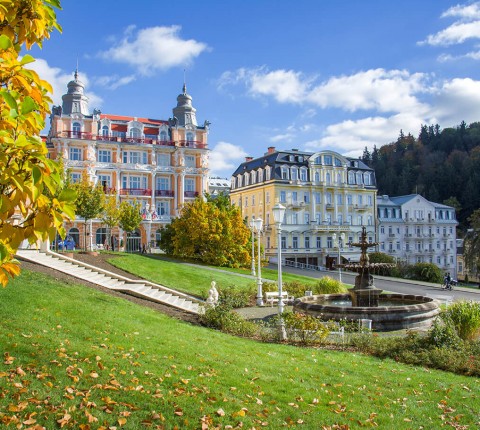 Spa mit hauseigener Mineralquelle Marienbad (Mariánské Lázne)