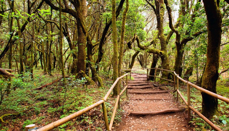 La Gomera - Nationalpark Garajonay