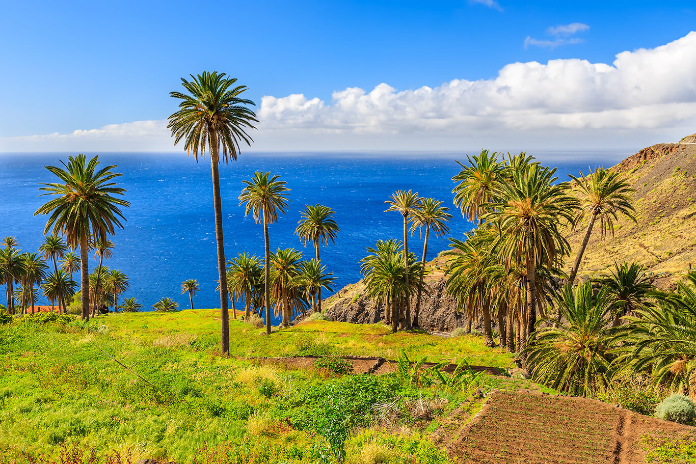 La Gomera - Pauschalreise