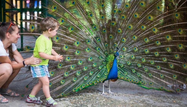 La Palma - Tierpark Maroparque