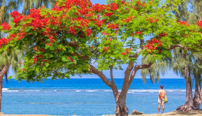 La Reunion - Pauschalreisen