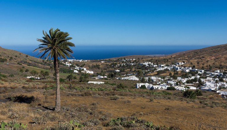 Lanzarote - Vallée de Haría