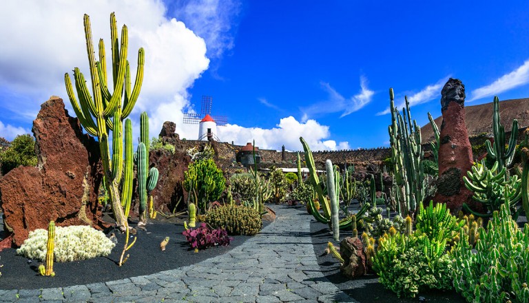 Lanzarote - Jardin de Cactus