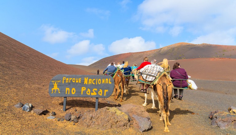 Lanzarote - Kamelsafari durch die Lavawueste