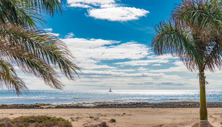 Lanzarote - Playa de los Pocillos