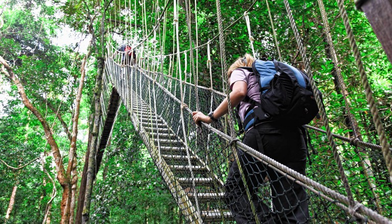 Malaysia - Nationalpark Taman Negara