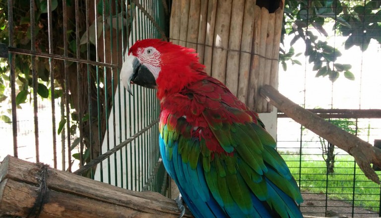 Marokko - Vallee des Oiseaux in Agadir