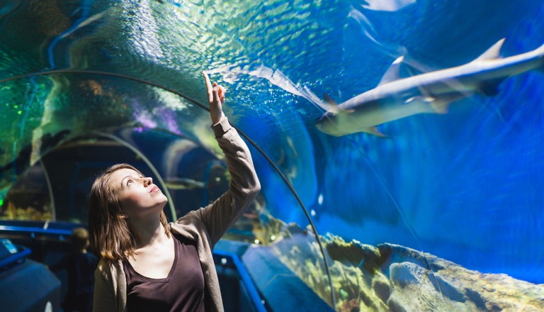 Melbourne-Sea-Life-Aquarium.