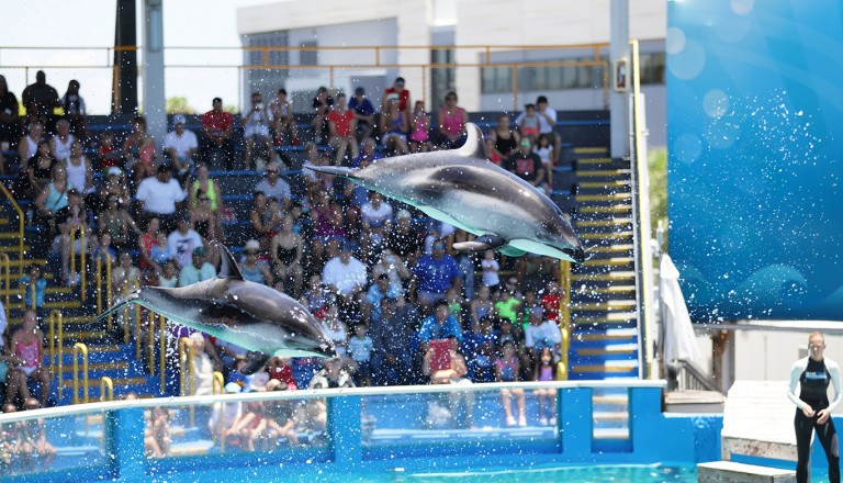 Miami-Seaquarium.