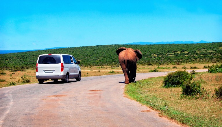 Mietwagen - Suedafrika