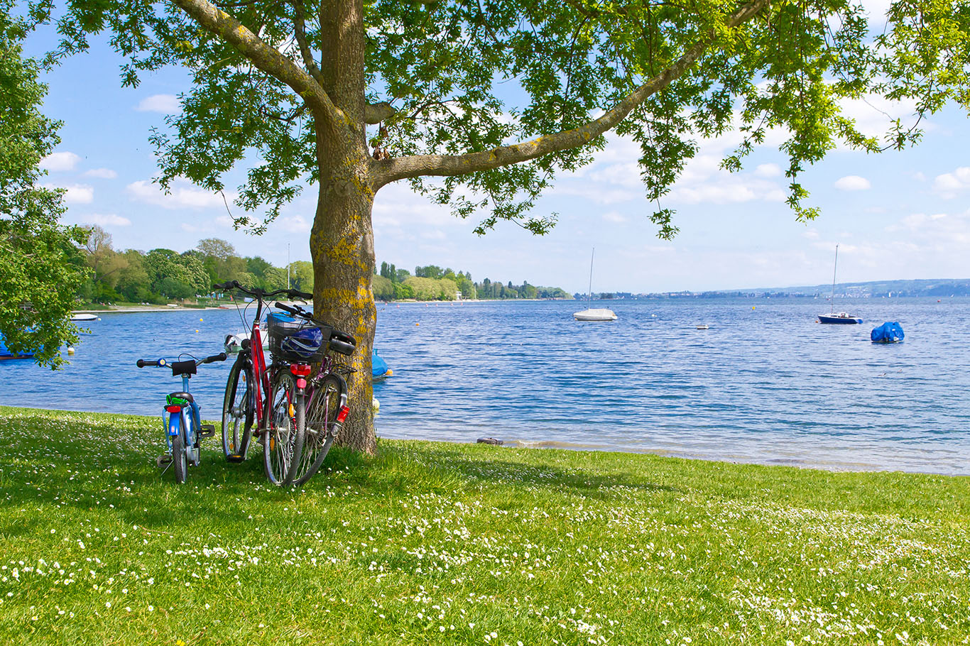 Radtour Niederrhein - Urlaub in Detschland